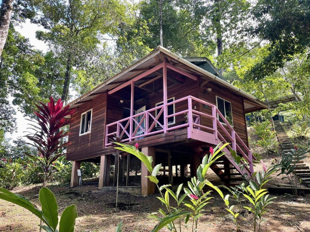 Akwaba Lodge The Gap Exterior foto